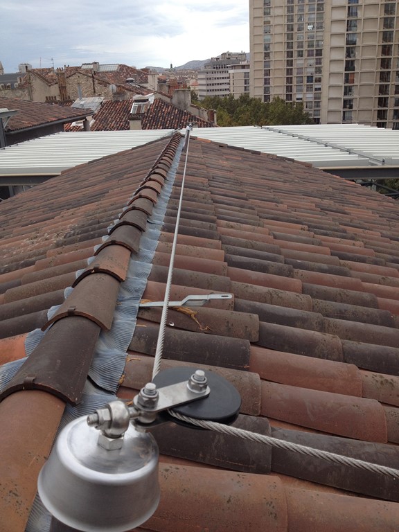 LIGNE DE VIE AU DÉTAIL